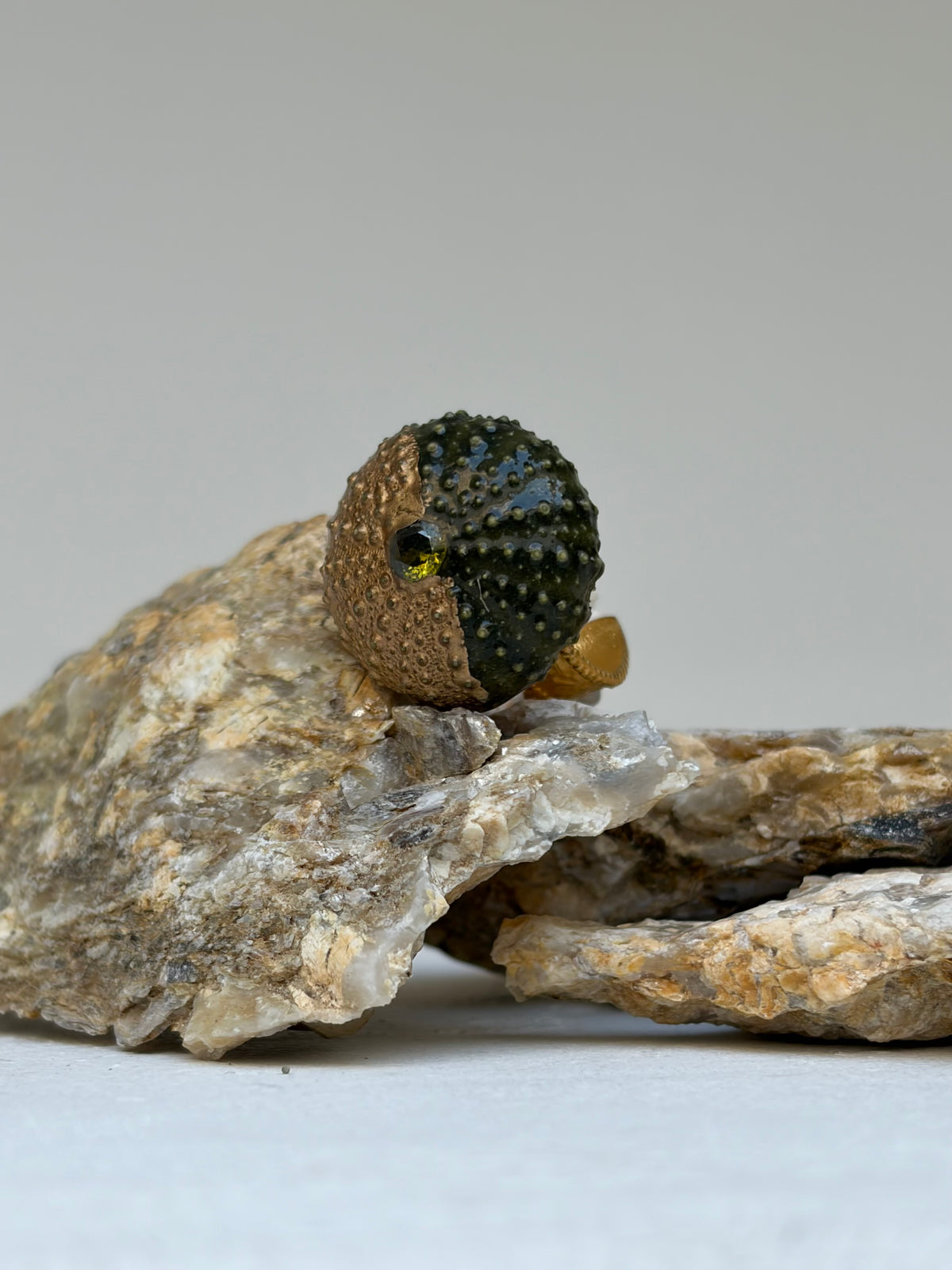 Bague Malo- oursin de Méditerranée- pièce unique et exclusive ©️