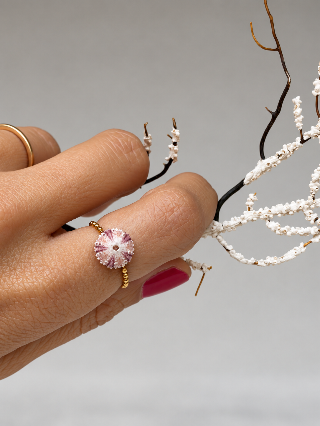 Bague Gabin - Oursin de Grèce et anneau souple - pièce exclusive signée kaküka Jewelry ©️