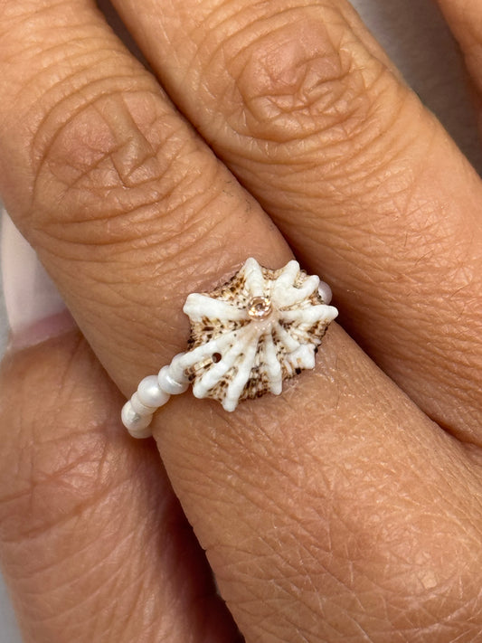 Bague Enia 🐚