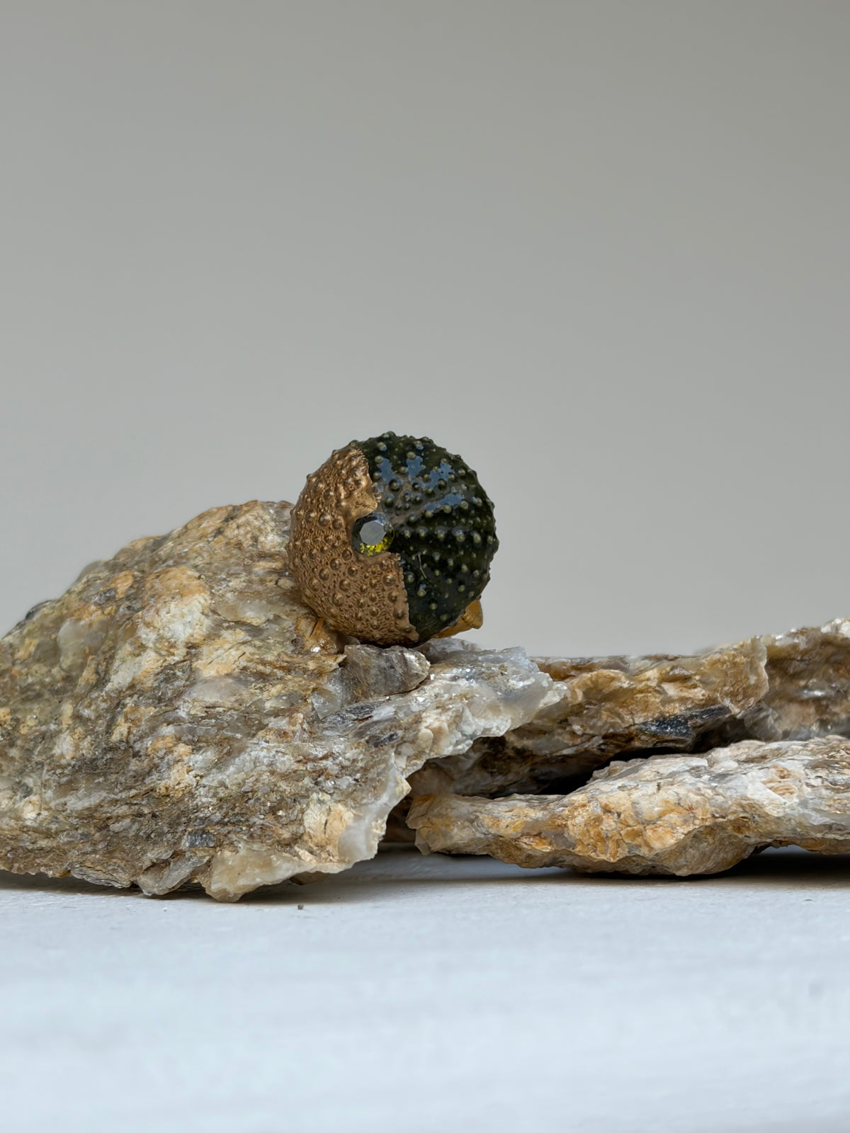 Bague Malo- oursin de Méditerranée- pièce unique et exclusive ©️