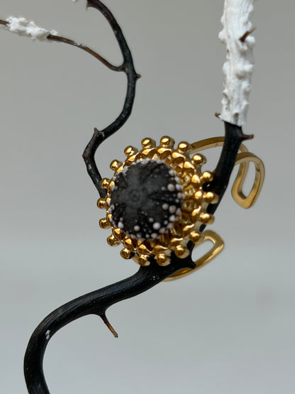 Bague  Éclipse ✨ oursin noir et soleil en acier - pièce inoxydable