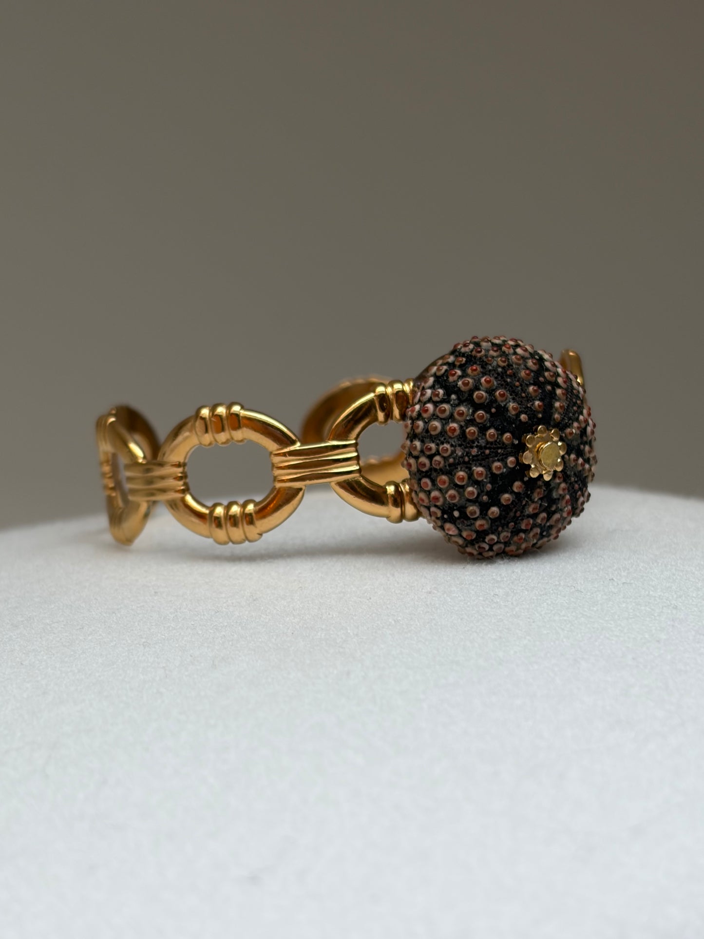 Bracelet Sea Urchin - Jonc