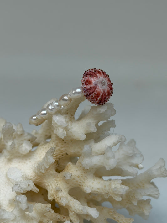 Bague Oursin rosé - oursin véritable et perle eau douce - exclusif chez Kaküka Jewelry ©️