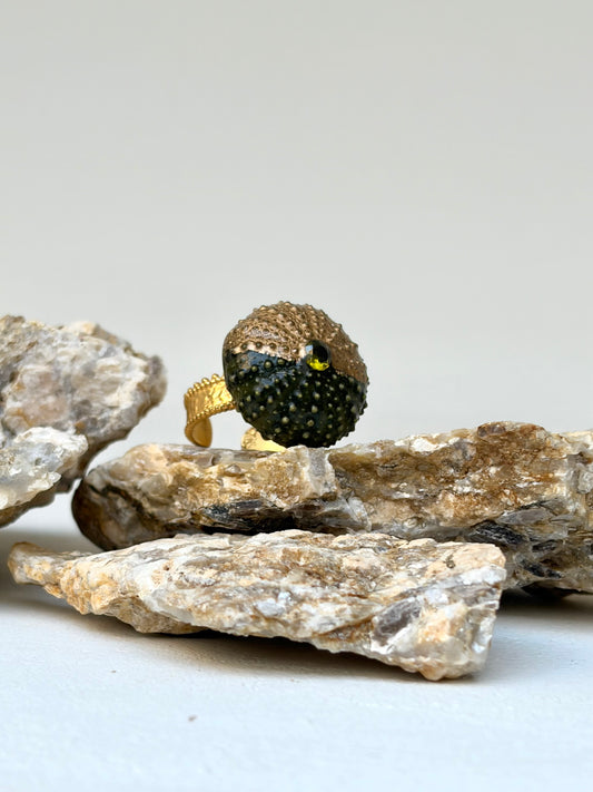 Bague Malo- oursin de Méditerranée- pièce unique et exclusive ©️