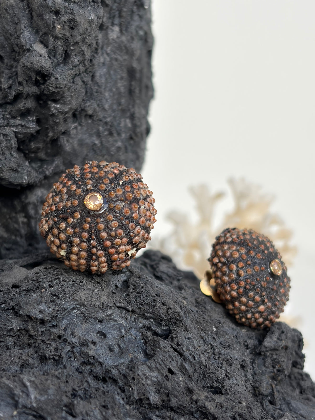 Boucles d’oreilles à clip Timéa - Oursin noir - pièce unique ©️