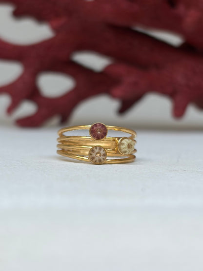 Bague Âme Marine 🐚 or laminé et véritable petit oursin - pièce unique exclusive chez Kaküka ©️