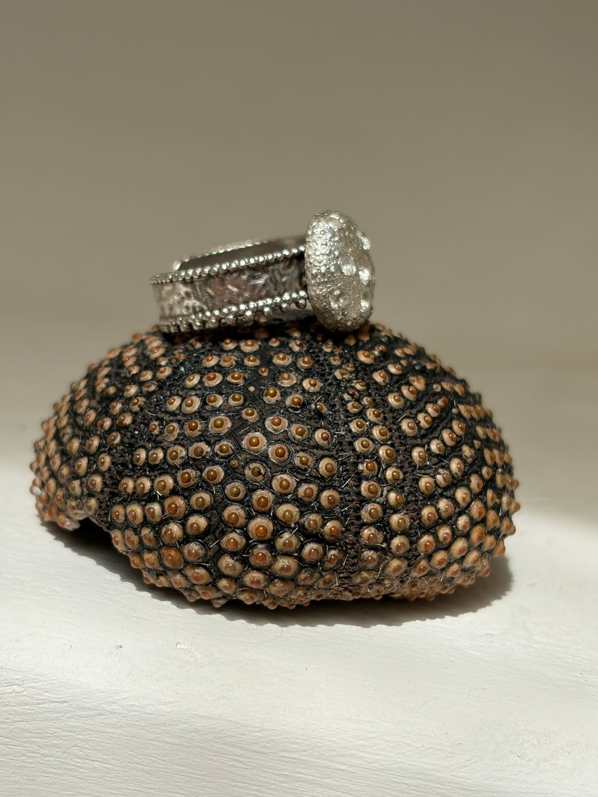 Bague Miracle - oursin argent et zircon