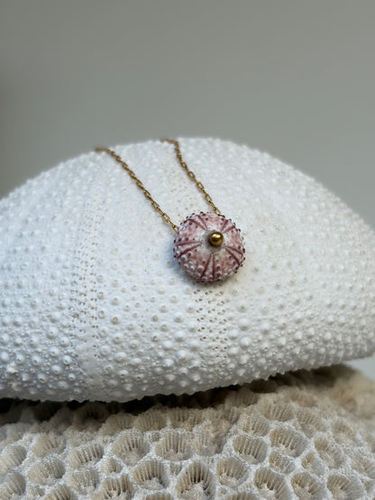 Collier Pink ursinu et cœur boule or