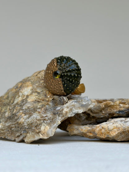 Bague Malo- oursin de Méditerranée- pièce unique et exclusive ©️