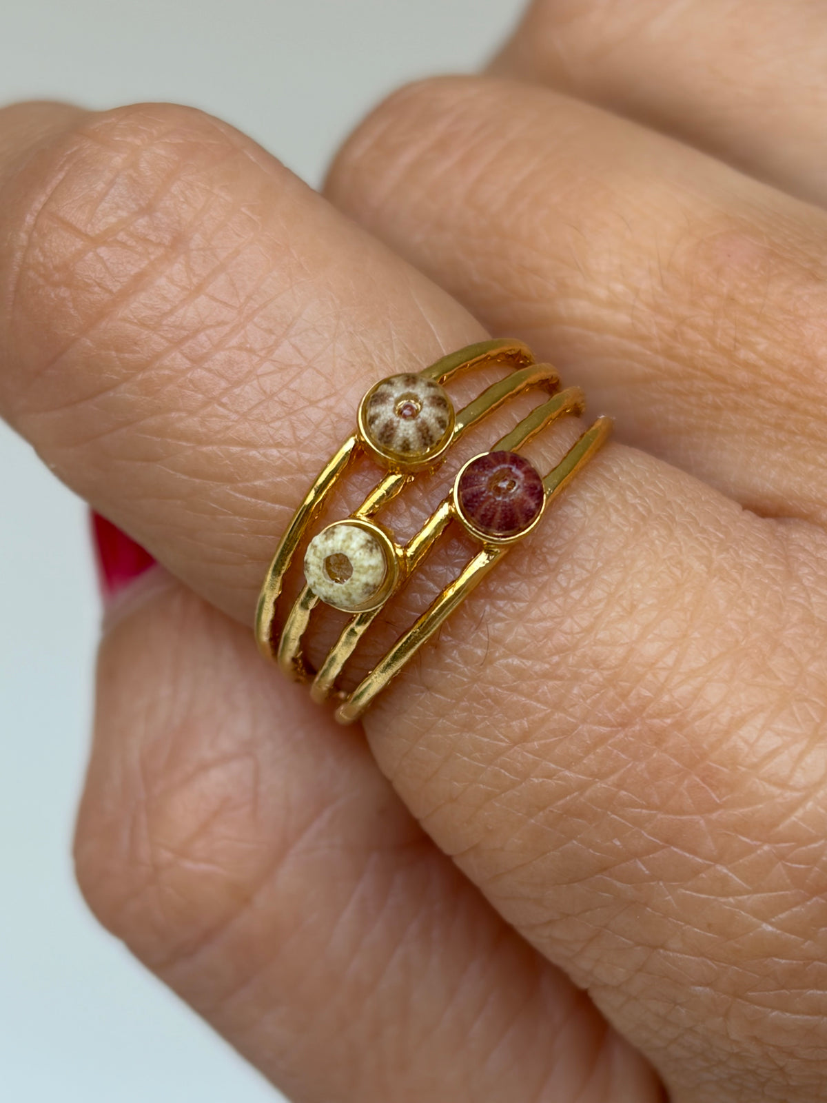Bague Âme Marine 🐚 or laminé et véritable petit oursin - pièce unique exclusive chez Kaküka ©️