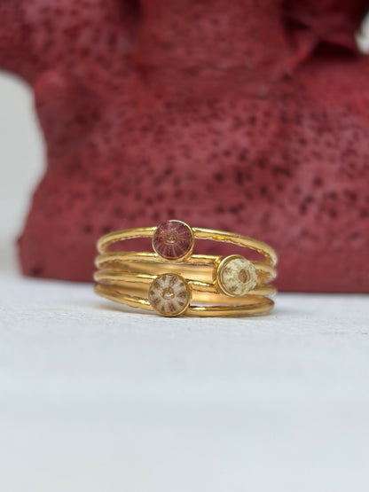 Bague Âme Marine 🐚 or laminé et véritable petit oursin - pièce unique exclusive chez Kaküka ©️