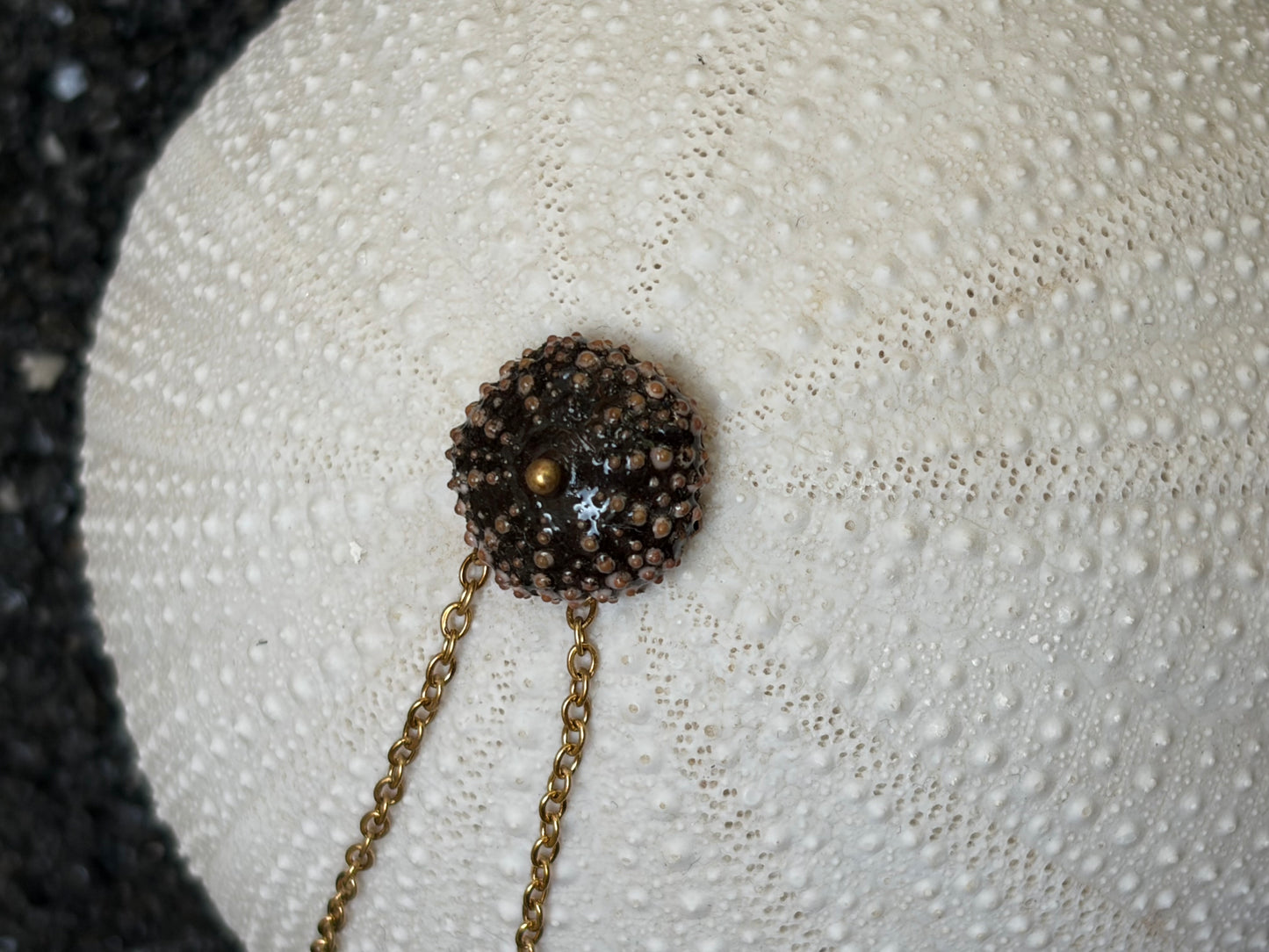 Collier Black Ursinu - Edition en précommande