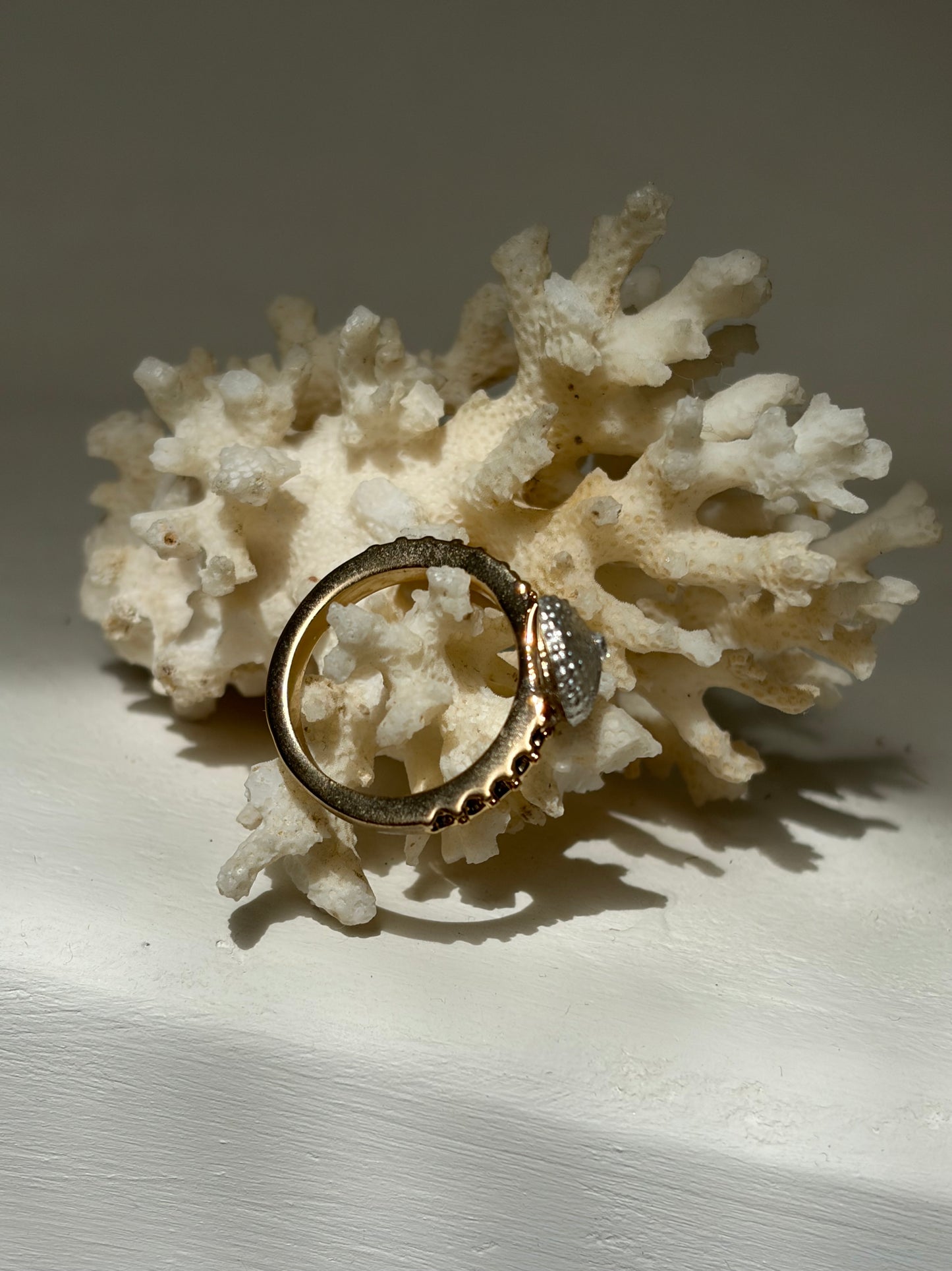 Bague Éclat des Marées - or acier inoxydable et argent massif oursin - exclusif Kaküka taille 52