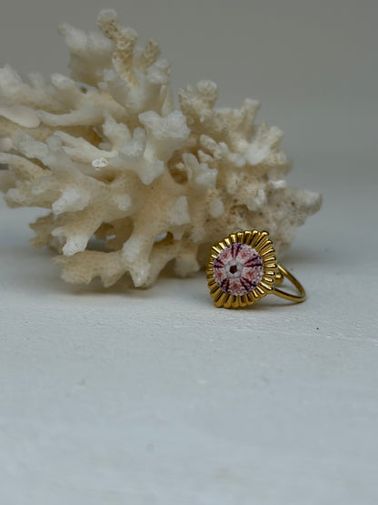 Bague Pink Urchin Goldy