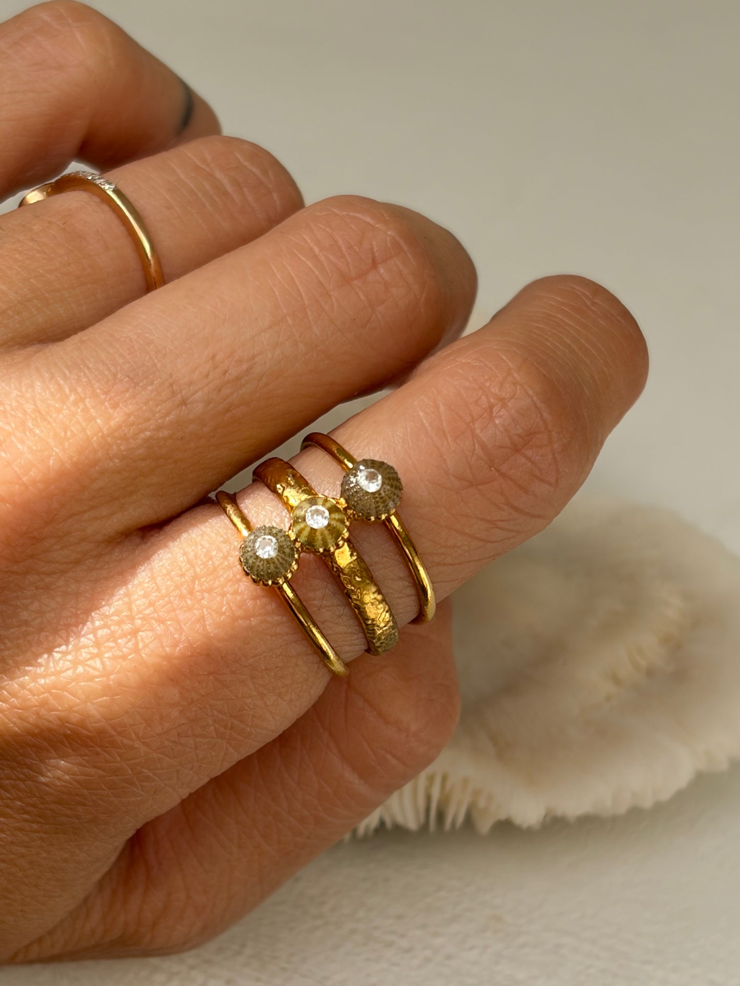 Bague Stay you- bague, trois rang, acier, inoxydable et véritable petit oursin verts