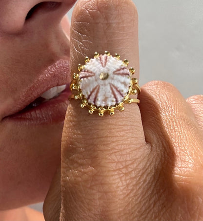Bague Oursinu