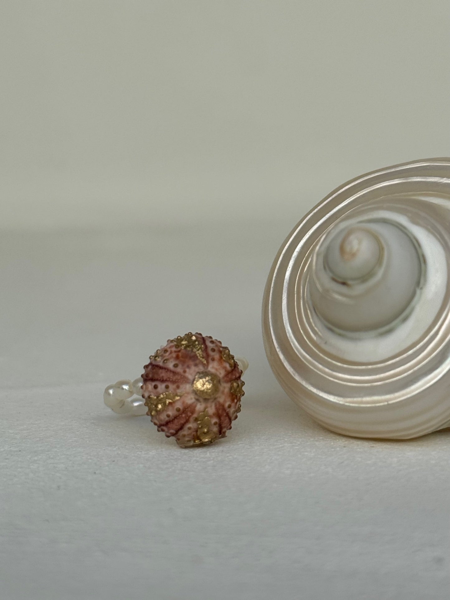 Bague Milésima Oursini