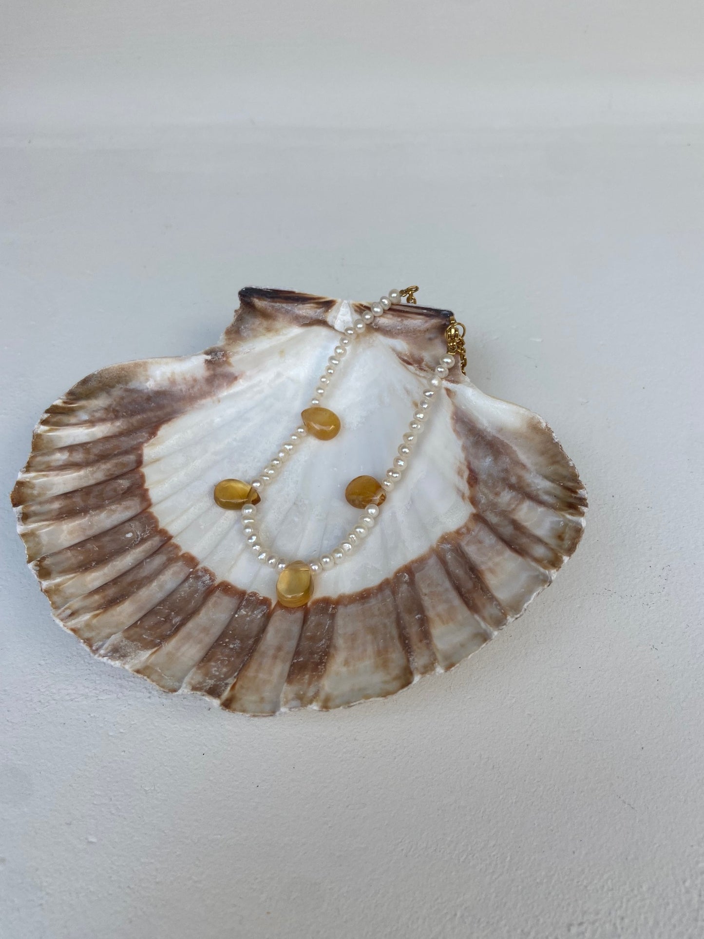 Coquille de décharge