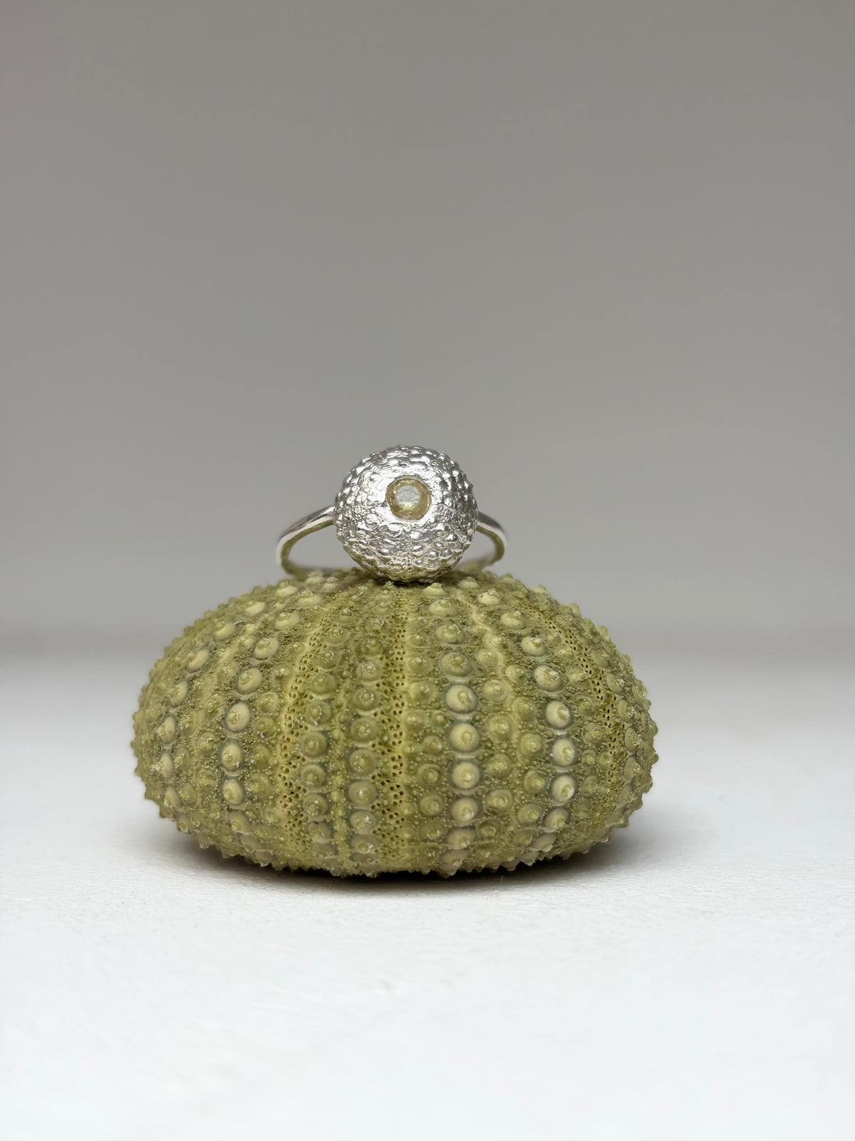 Bague URSINA - Pièce en argent et Oursin- pièce exclusive Kaküka Jewelry ©️