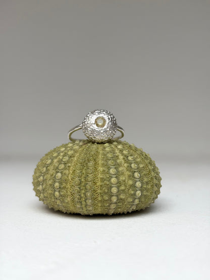 Bague URSINA - Pièce en argent et Oursin- pièce exclusive Kaküka Jewelry ©️