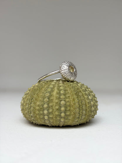 Bague URSINA - Pièce en argent et Oursin- pièce exclusive Kaküka Jewelry ©️