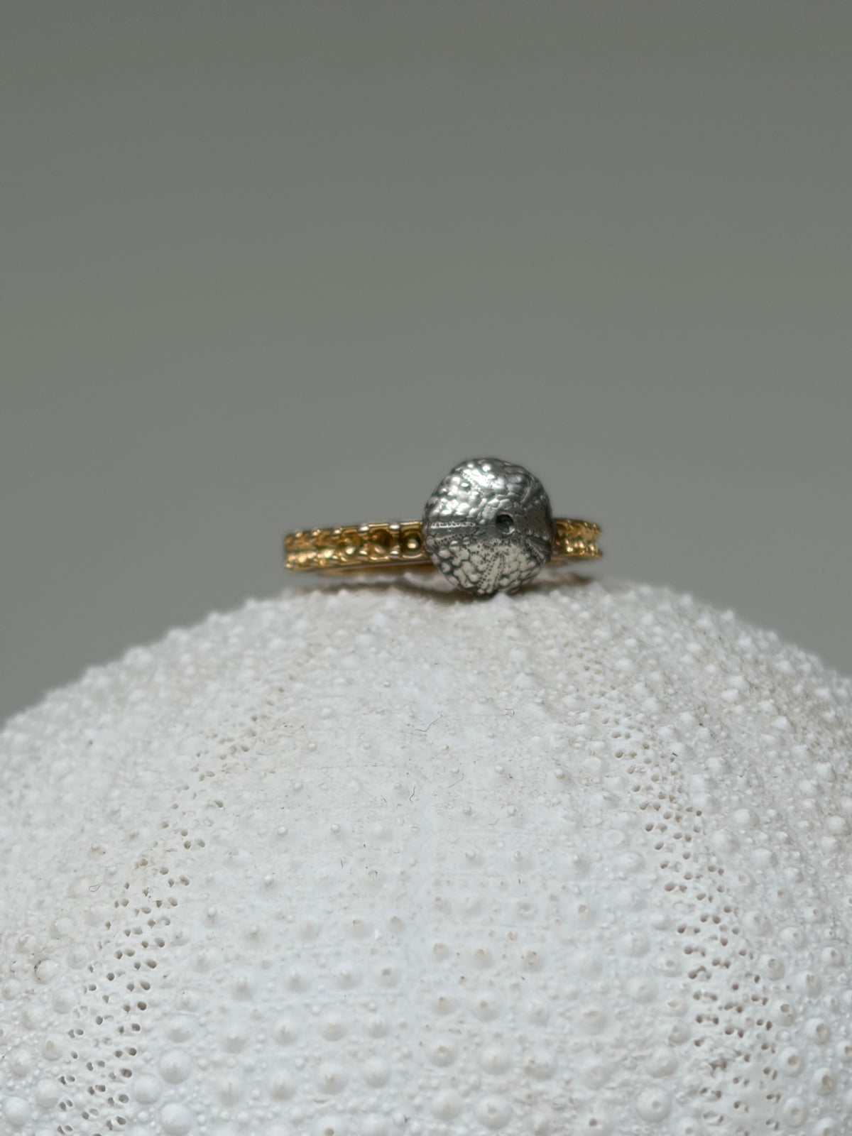 Bague Jupiter - bague oursin argent 950 et acier inoxydable eoursin - exclusif Kaküka Jewelry ©️