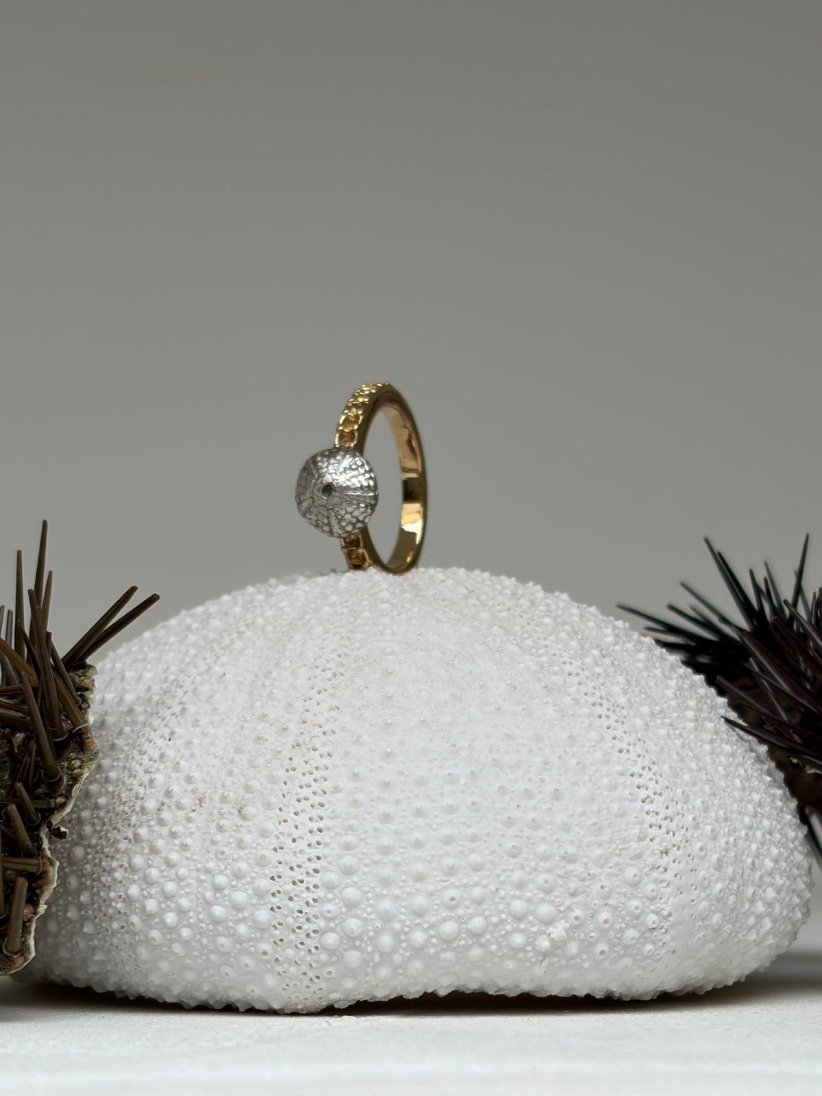 Bague Jupiter - bague oursin argent 950 et acier inoxydable eoursin - exclusif Kaküka Jewelry ©️